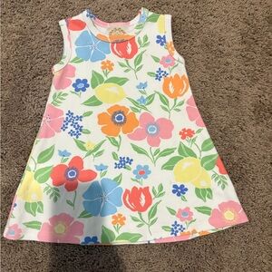 The Beaufort Bonnet Company Colorful Floral Dress